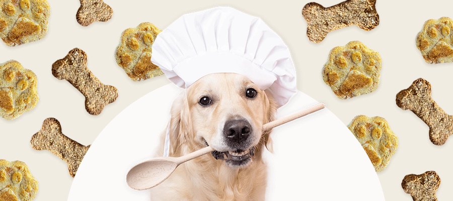 5 Homemade Dog Treat Recipes