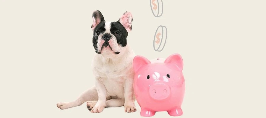 Pet Care On a Budget