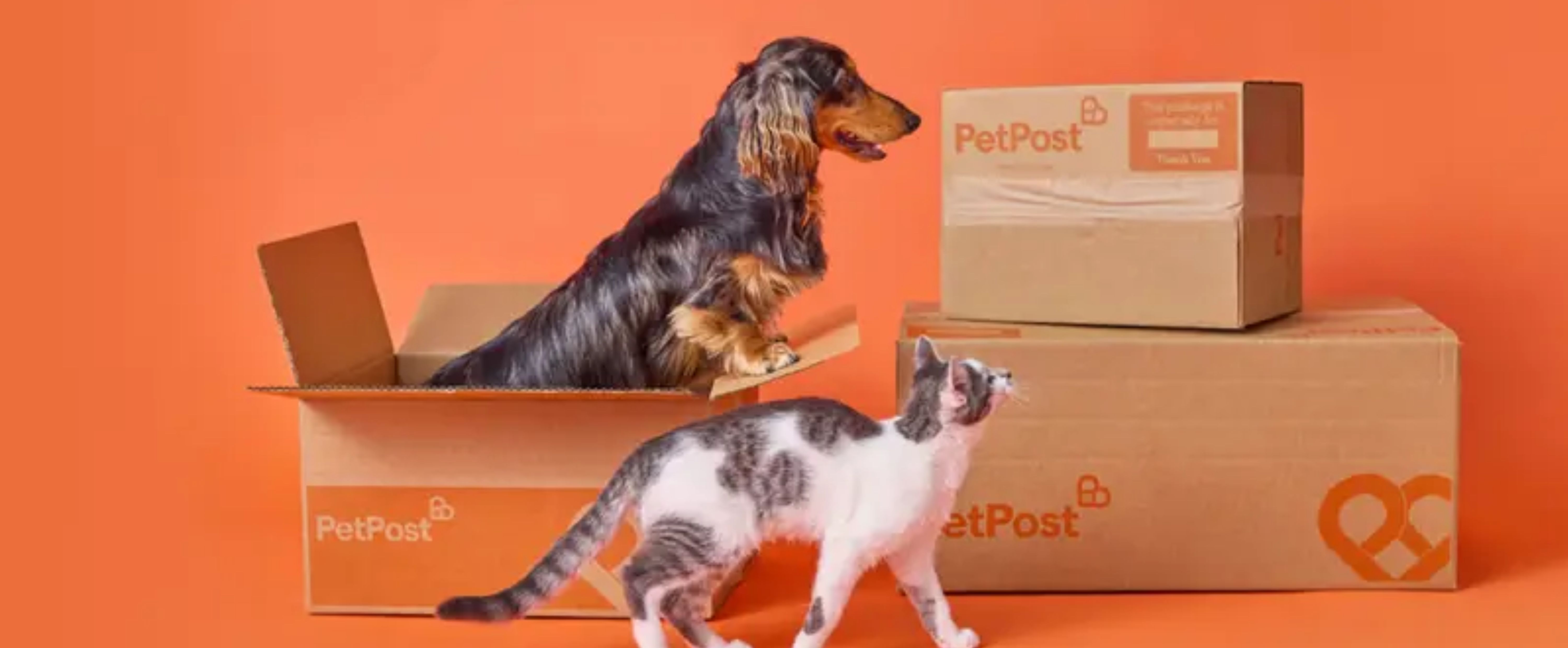 Repeat Delivery Alternatives