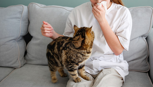 9 Ways to Reduce Cat Allergens